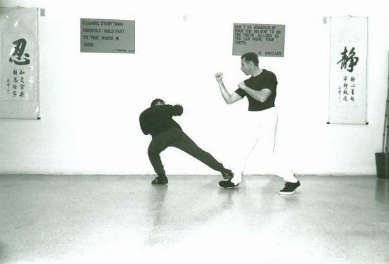 Low Angle Side Kick